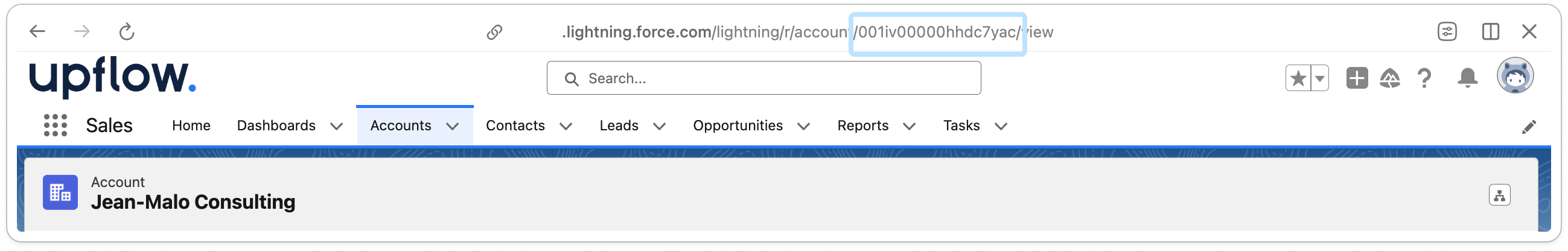 SFDC Account ID - URL.png